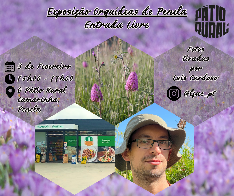 exposicao de orchideas de penela